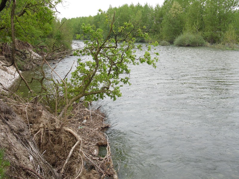 Parco del Ticino 26.4.13